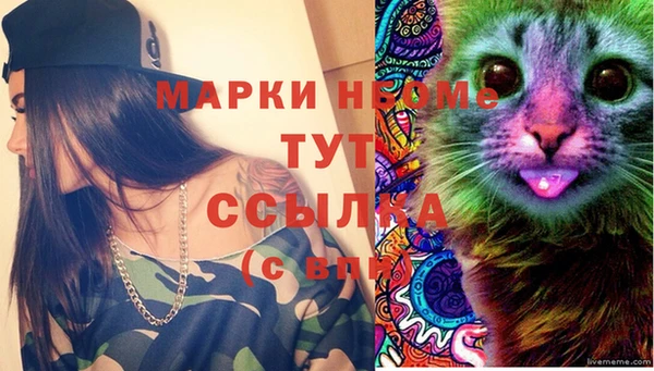 хмурый Ладушкин